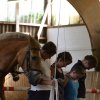rm_badenstedt2017 13